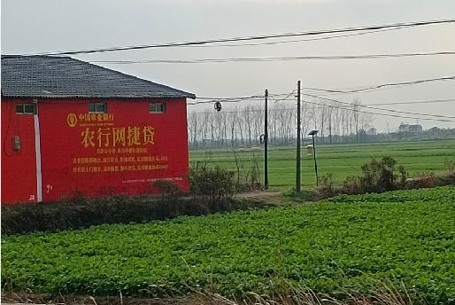 卢氏如何防止墙体广告褪色呢？