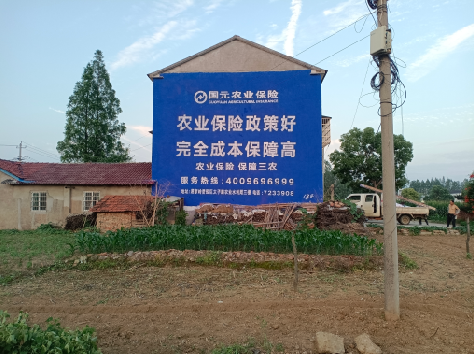 卢氏墙体广告为何受追捧？